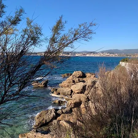 아파트 Baie De Sanary - Beau F2 Bord De Avec Piscine *